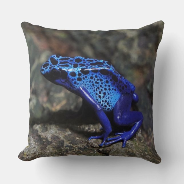 Blauer Gift-Dart-Frosch, heller Blaufrosch Kissen (Vorderseite)