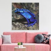 Blauer Gift-Dart-Frosch, heller Blaufrosch Leinwanddruck (Insitu (Wohnzimmer))