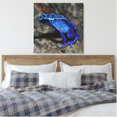 Blauer Gift-Dart-Frosch, heller Blaufrosch Leinwanddruck (Insitu (Schlafzimmer))
