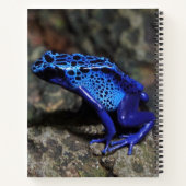 Blauer Gift-Dart-Frosch, heller Blaufrosch Notizblock (Rückseite)
