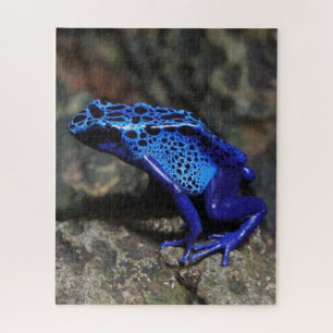Blauer Gift-Dart-Frosch, heller Blaufrosch Puzzle