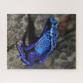 Blauer Gift-Dart-Frosch, heller Blaufrosch Puzzle (Horizontal)