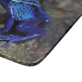 Blauer Gift-Dart-Frosch, heller Blaufrosch Schneidebrett (Ecke)