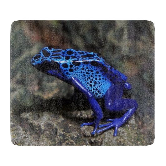 Blauer Gift-Dart-Frosch, heller Blaufrosch Schneidebrett (Vorderseite)
