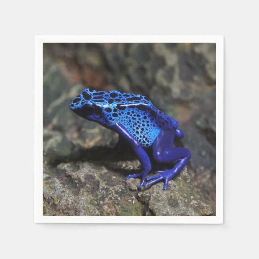 Blauer Gift-Dart-Frosch, heller Blaufrosch Serviette (Vorderseite)