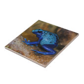Blauer Gift-Pfeil-Frosch Dendrobates Azureus Fliese (Seite)