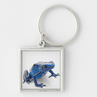 Blauer Gift-Pfeil-Frosch (Dendrobates Tinctorius) Schlüsselanhänger