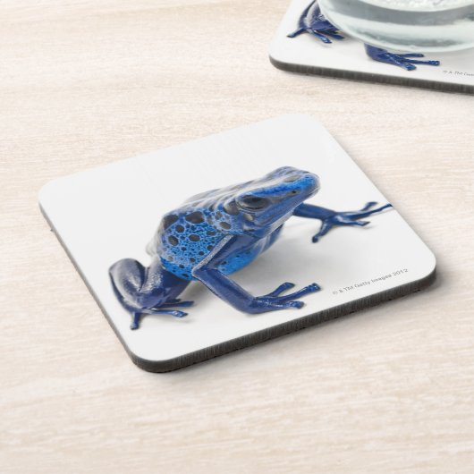 Blauer Gift-Pfeil-Frosch (Dendrobates Tinctorius) Untersetzer (Linke Seite)