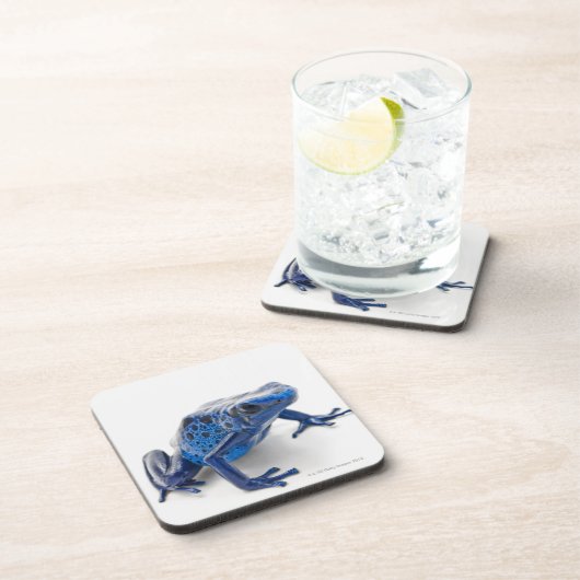 Blauer Gift-Pfeil-Frosch (Dendrobates Tinctorius) Untersetzer (Rechte Seite)