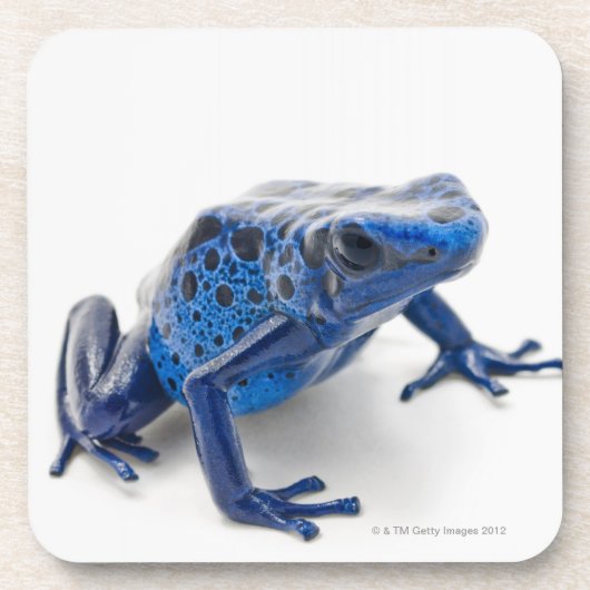 Blauer Gift-Pfeil-Frosch (Dendrobates Tinctorius) Untersetzer (Vorderseite)