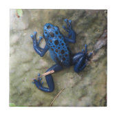 Blauer Gift-Pfeil-Frosch Fliese (Vorderseite)
