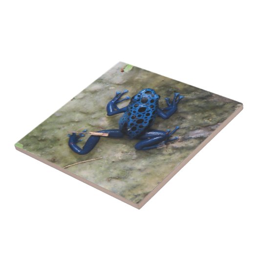 Blauer Gift-Pfeil-Frosch Fliese (Seite)
