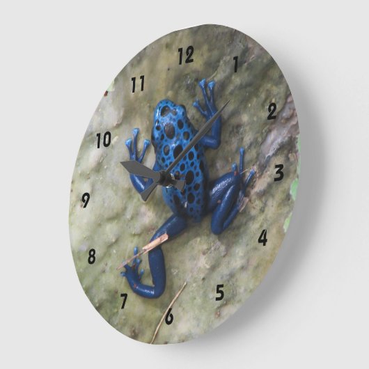 Blauer Gift-Pfeil-Frosch Große Wanduhr (Winkel)