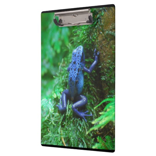 Blauer Gift-Pfeil-Frosch Klemmbrett (Links)