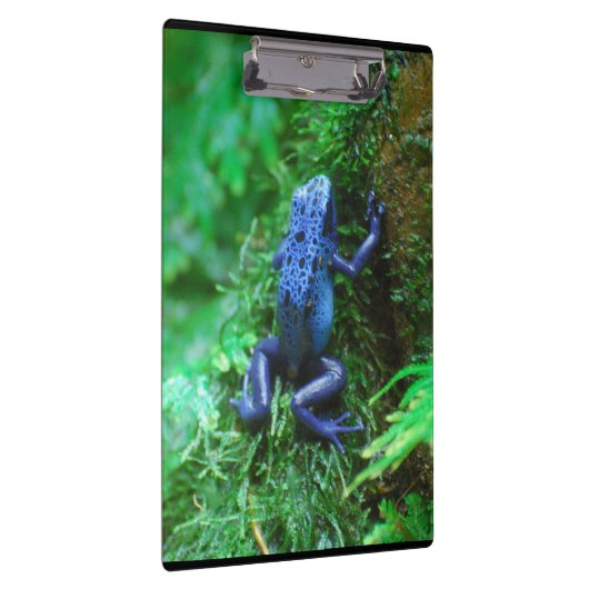 Blauer Gift-Pfeil-Frosch Klemmbrett (Rechts)