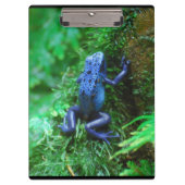 Blauer Gift-Pfeil-Frosch Klemmbrett (Vorderseite)