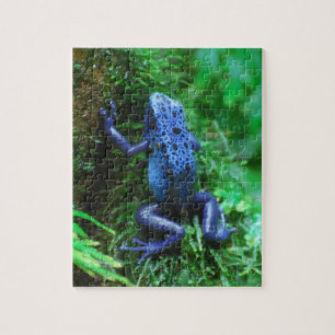 Blauer Gift-Pfeil-Frosch Puzzle