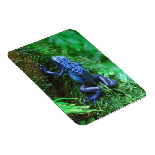 Blauer Giftarrow Magnet (Rechte Seite)