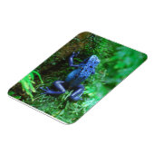 Blauer Giftarrow Magnet (Linke Seite)