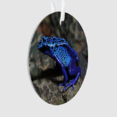 Blauer Giftfrösch, Hellblauer Frosch Ornament (Vorderseite)