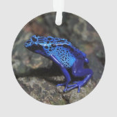 Blauer Giftfrösch, Hellblauer Frosch Ornament (Rückseite)