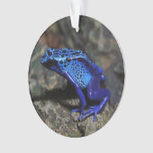 Blauer Giftfrösch, Hellblauer Frosch Ornament (Vorderseite)