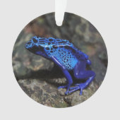 Blauer Giftfrösch, Hellblauer Frosch Ornament (Vorderseite)