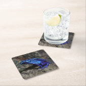Blauer Giftfrösch, Hellblauer Frosch Rechteckiger Pappuntersetzer (Vor Ort)