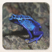 Blauer Giftfrösch, Hellblauer Frosch Rechteckiger Pappuntersetzer (Vorderseite)