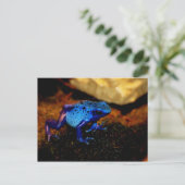 Blauer Giftfrosch Postkarte (Stehend Vorderseite)