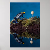 Blauer Giftfrosch und Pilz Poster (Vorne)