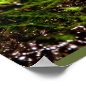 Blauer giftiger Dart Frog Poster (Ecke)