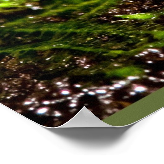 Blauer giftiger Dart Frog Poster (Ecke)