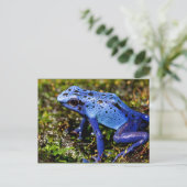 Blauer giftiger Frosch Postkarte (Stehend Vorderseite)
