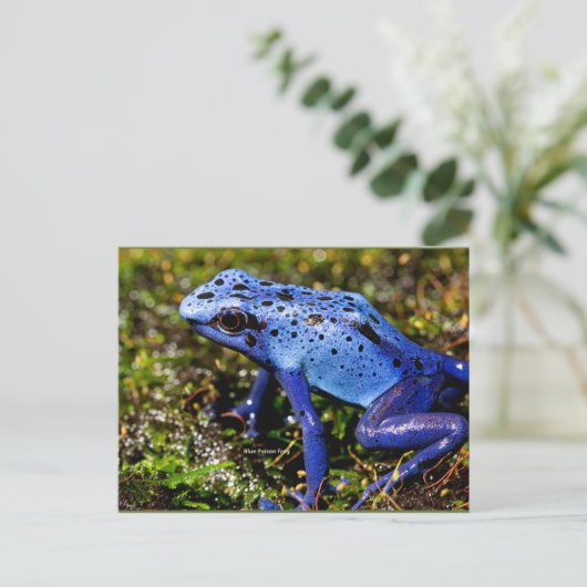 Blauer giftiger Frosch Postkarte (Stehend Vorderseite)