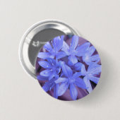 Blauer Glanz des Schneekanals Button (Vorne & Hinten)