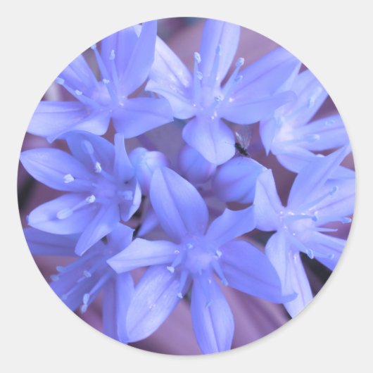 Blauer Glanz des Schneeklebers Runder Aufkleber (Vorderseite)