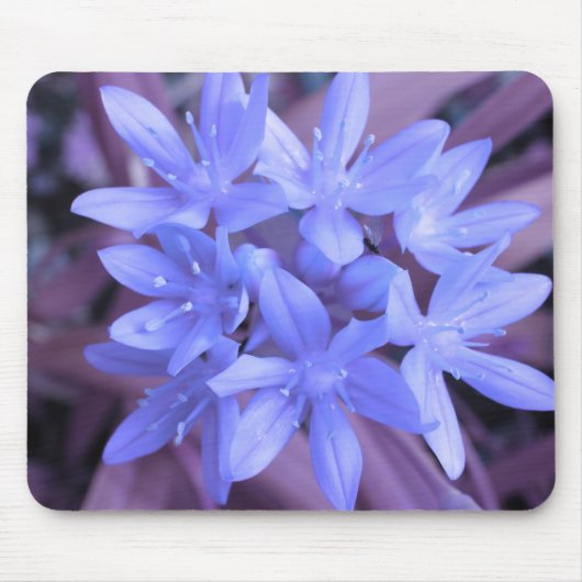 Blauer Glanz des Schneemusepads Mousepad (Vorne)