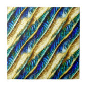 Blauer Glattleder Muschel Fliese (Vorderseite)