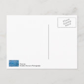 Blauer Gletscher Postkarte (Rückseite)