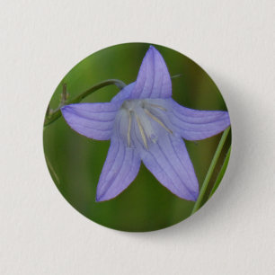 Blauer Glocke Blume Button