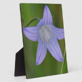 Blauer Glocke Blume Fotoplatte (Seite)