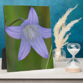 Blauer Glocke Blume Fotoplatte (Seite)