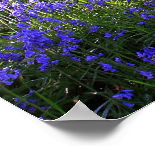 Blauer Glockenwald, Christliches Poster, Psalm 89 Poster (Ecke)