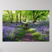 Blauer Glockenwald, Schottland Poster (Vorne)