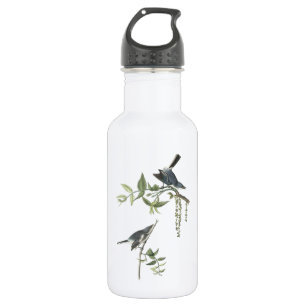 Blauer Gnatcatcher von Audubon Edelstahlflasche