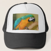 Blauer Goldmacaw-Papageien-Malerei-Hut Truckerkappe (Vorderseite)