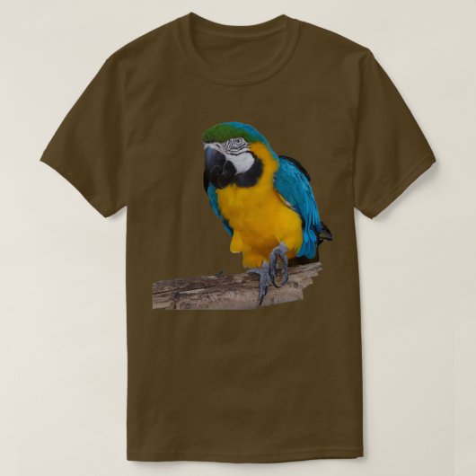 Blauer Goldpapagei T-Shirt (Design vorne)