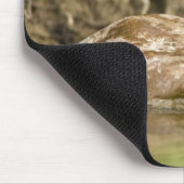 Blauer Grosbeak, der im Hinterhofteich trinkt, Mousepad (Ecke)