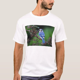 Blauer Häher, Cyaoncitta cristata T-Shirt
